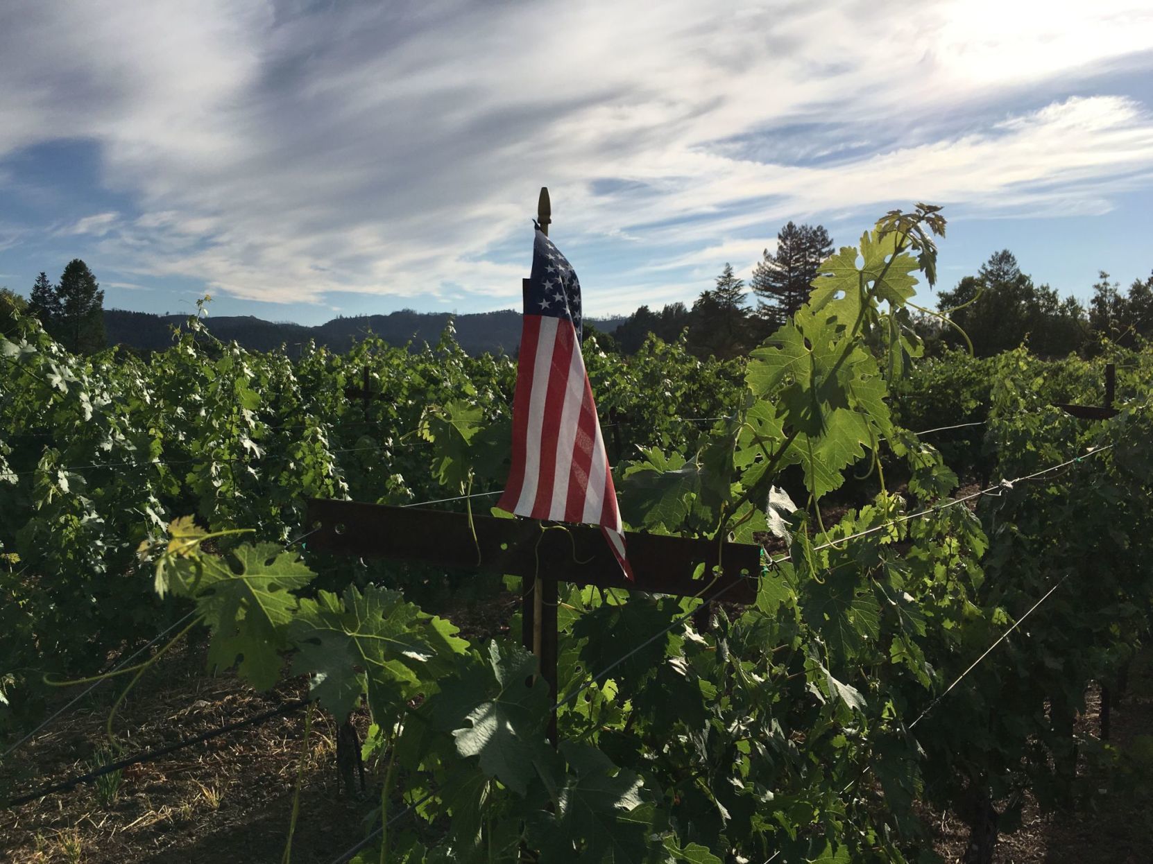 An American flag flies
